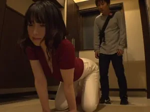 Dịch vụ bảo hiểm